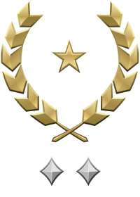 File:HINF 243 Brigadier General Gold II Rank.png