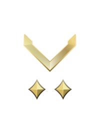 File:HINF 27 Private Gold II Rank.png