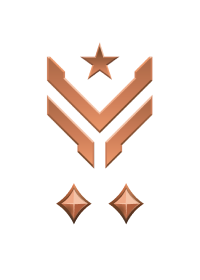 File:HINF 129 Master Sergeant Bronze II Rank.png