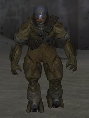 Halo 2 (Serie 3) - Ghost with Brute