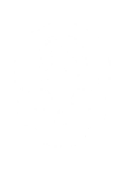 File:H5G Skull Iron.png