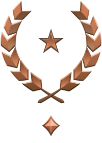 File:HINF 236 Brigadier General Bronze I Rank.png
