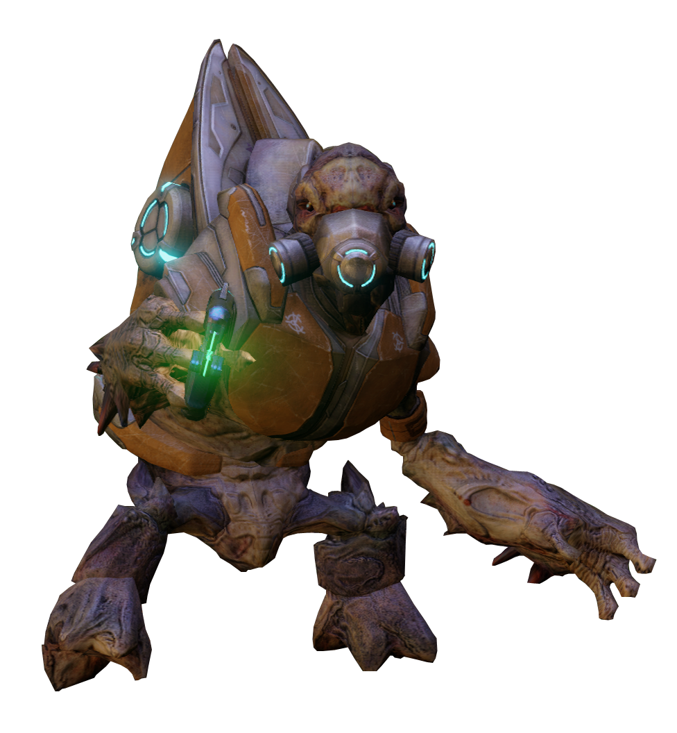 Unggoy - Species - Halopedia, the Halo wiki