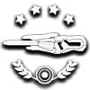 File:Storm Rifle commendation.png