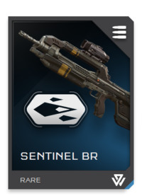 File:REQ Loadout Weapon BR Sentinel Kinetic.jpg