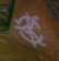 White symbol that appears on Grunts in numerous games.