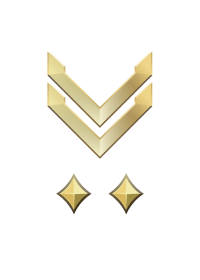 File:HINF 81 Sergeant Gold II Rank.png