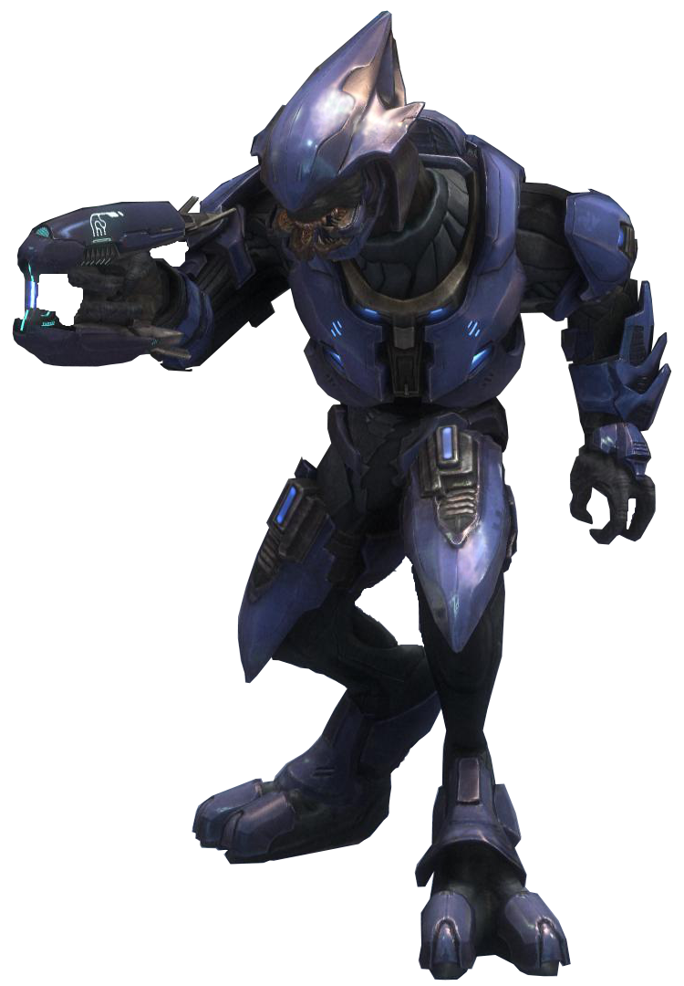 Halo sangheili