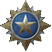The medal in the Halo: Reach Beta.