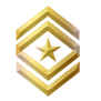File:HR Rank Colonel G3 Icon.png