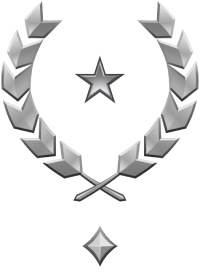 File:HINF 239 General Silver I Rank.png