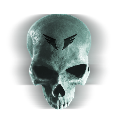 File:HCEV Skull Acrophobia Icon.png