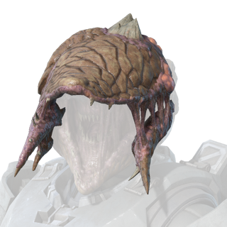 File:HINF - Helmet attachment icon - Depthless Messenger.png