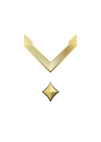 File:HINF 26 Private Gold I Rank.png