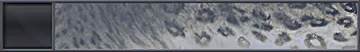 File:HTMCC Nameplate SnowLeopard.png
