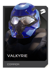 File:REQ Card - Valkyrie.png
