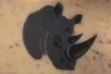 File:Rhino logo.jpg