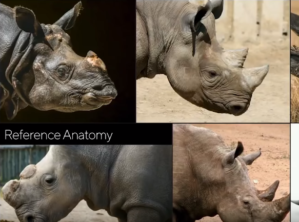 File:Rhinoreferences.PNG