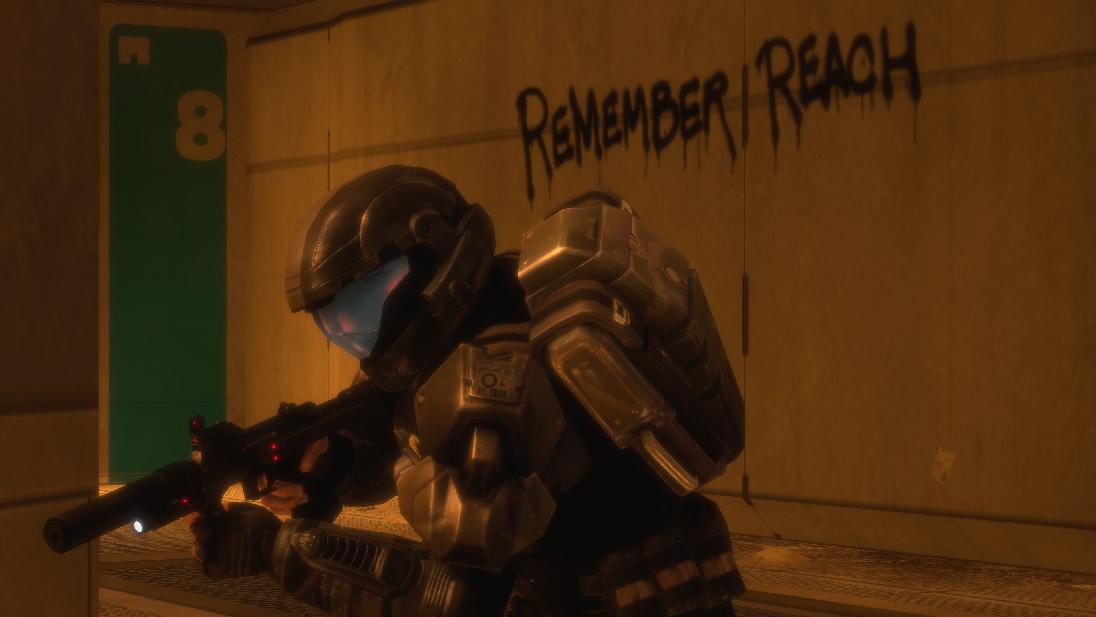 An ODST looking at the "Remember Reach" egg.