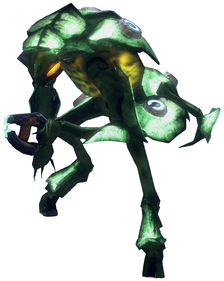 Yanme'e Pupa Halopedia, the Halo wiki