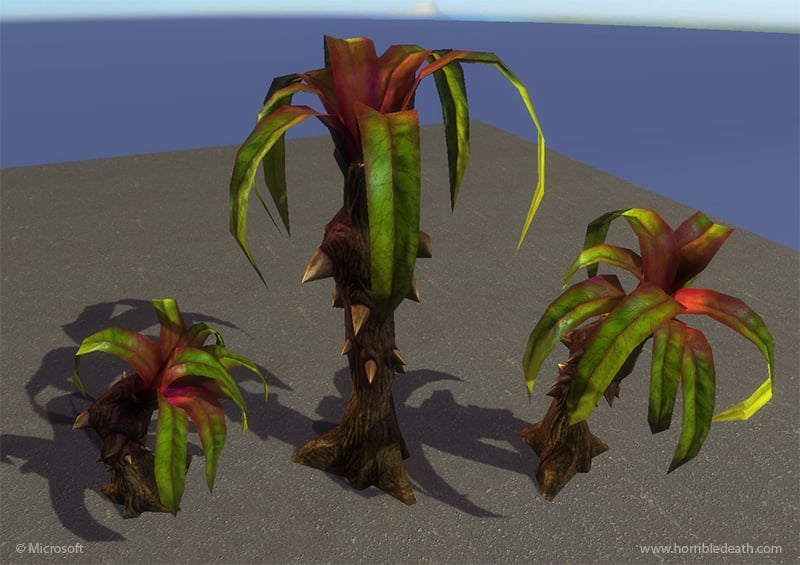 File:MMO ThornyPalm.jpg
