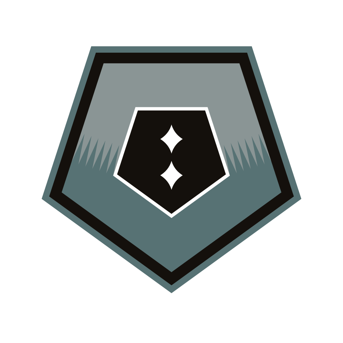 Silver rank icon.