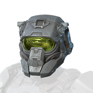 Armor customization (Halo 5: Guardians) - Halopedia, the Halo wiki