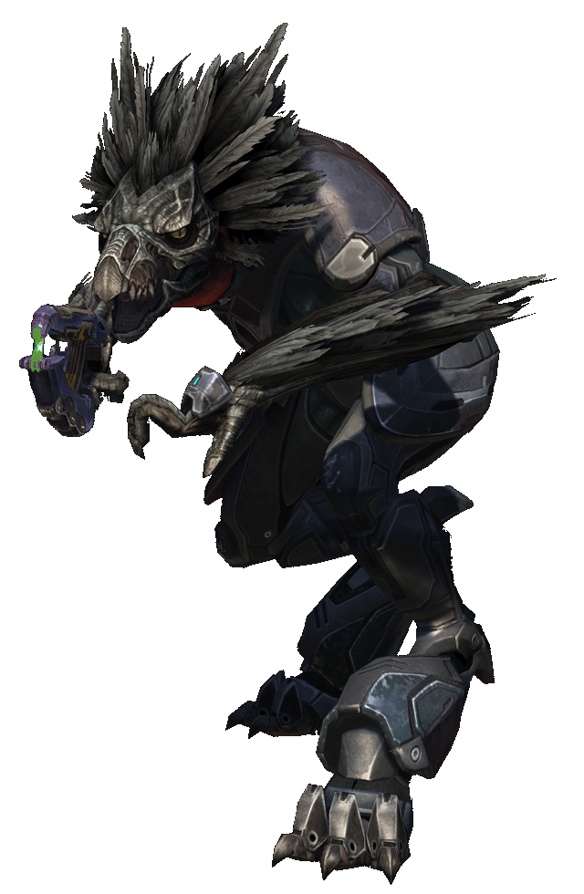 File:Halo Reach - Skirmisher.png - Halopedia, the Halo wiki