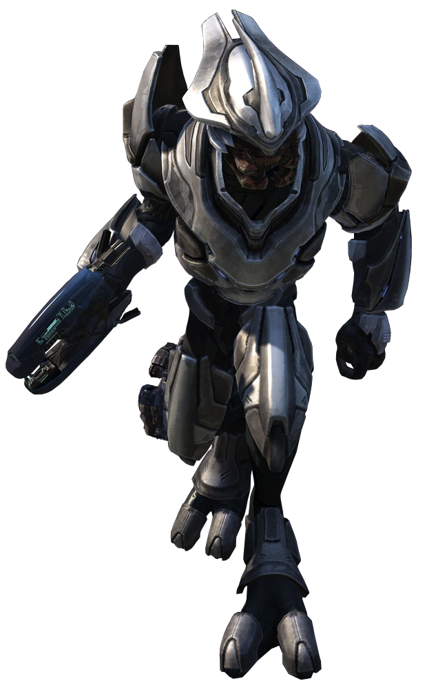 File:Halo Reach Sangheili.png - Halopedia, the Halo wiki