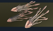 Seeder infectors in their Phoenix Log artwork.