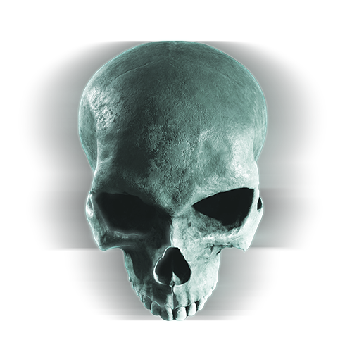 File:HCEV Skull Icon.png