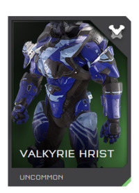 File:REQ Card - Armor Valkyrie Hrist.png