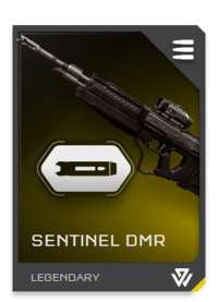 File:REQ Card - DMR Sentinel Long Barrel.jpg