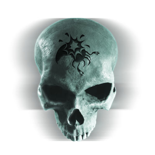 File:HCEV Skull Pop Icon.png