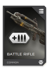 File:REQ Loadout Weapon BR Extended Mags.jpg