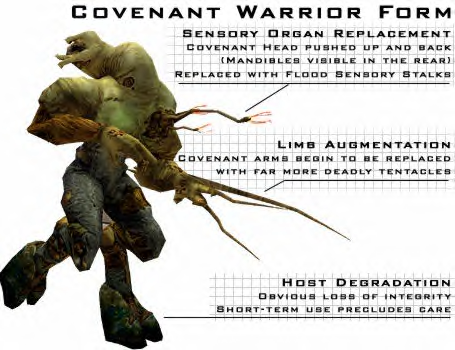 File:Warrior Form Covie2.png