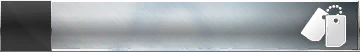 File:HTMCC Nameplate Platinum Dog tags.png