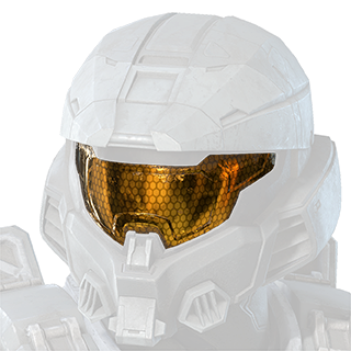 File:HINF Heroic Intervention Visor Icon.png