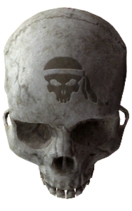 File:HCEA Skull Bandanna Icon.png