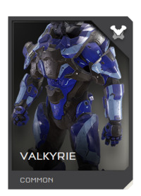 File:REQ Card - Armor Valkyrie.png