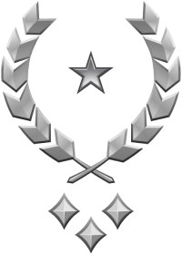 File:HINF 241 General Silver III Rank.png