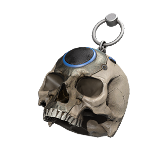 File:HINF Skull Charm Icon.png
