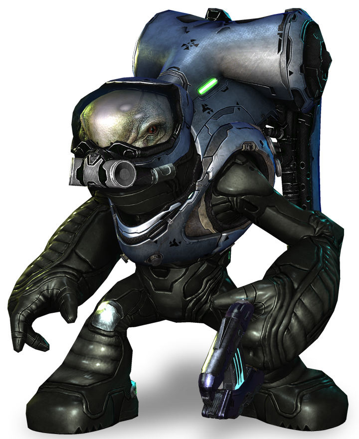 File:UnggoyRanger.png - Halopedia, the Halo wiki