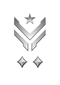 File:HINF 132 Master Sergeant Silver II Rank.png