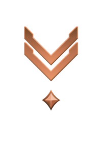 File:HINF 74 Sergeant Bronze I Rank.png