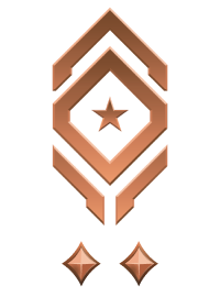 File:HINF 219 Colonel Bronze II Rank.png