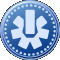 The Linktacular medal, earned by playing in a matchmade game with only Bungie.net members.