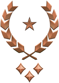 File:HINF 238 Brigadier General Bronze III Rank.png
