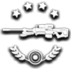 File:Sniper Rifle commendation.png