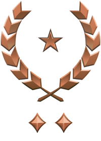 File:HINF 237 Brigadier General Bronze II Rank.png